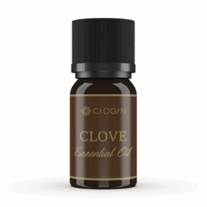 HUILE ESSENTIELLE DE CLOUS DE GIROFLE CHOGAN